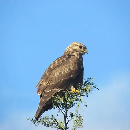 Haus Tanneck, Nr 5 * Kellenhusen