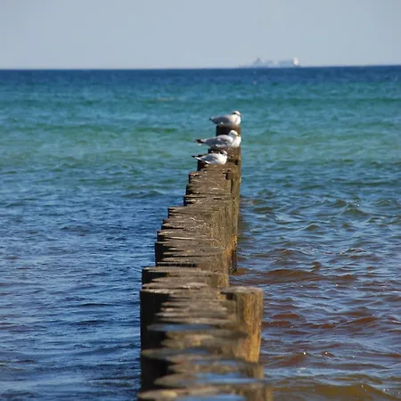 Haus Tanneck, Nr 5 Kellenhusen