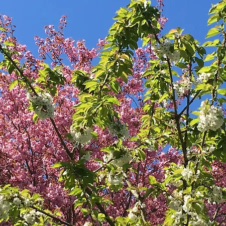 Haus Tanneck, Nr 5 * Kellenhusen