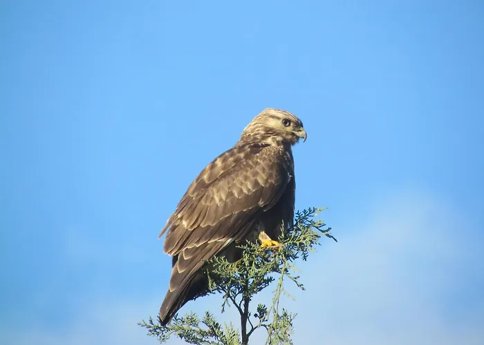 Haus Tanneck, Nr 5 * Kellenhusen