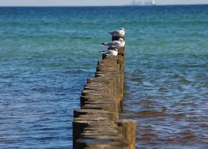 Haus Tanneck, Nr 5 Kellenhusen